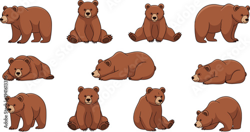 Set of cute brown bear character vectors in various poses including sitting, walking, sleeping, and standing isolated on a white background.