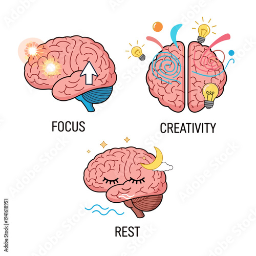 Human Brain Diagram with Focus and Creativity Zones