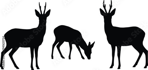 Deer silhouette collection with standing and grazing poses wild antelope or gazelle animal set isolated on white background vector illustration