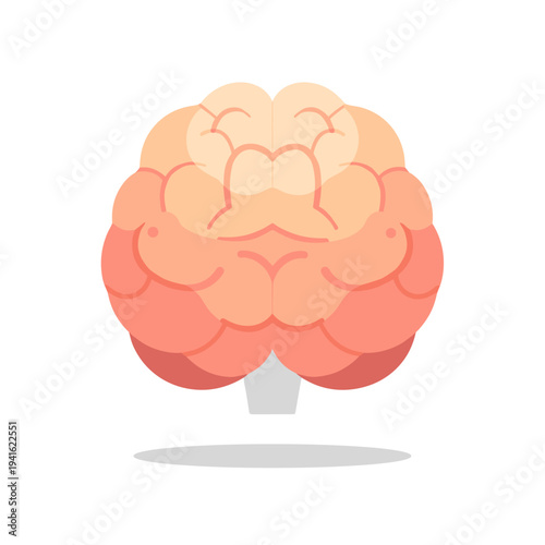Soft Gradient Pink Human Brain Illustration