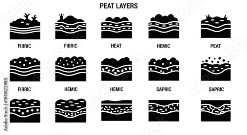 Illustration of peat layers formation process in various stages and types