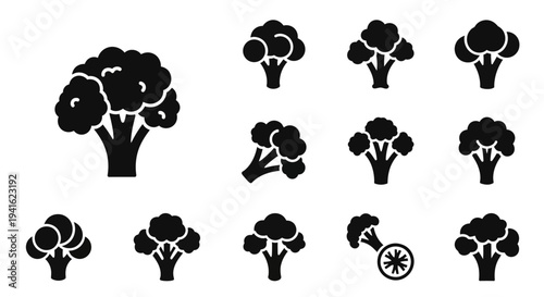 Collection of Broccoli Illustrations Showing Various Stages of Growth and Views