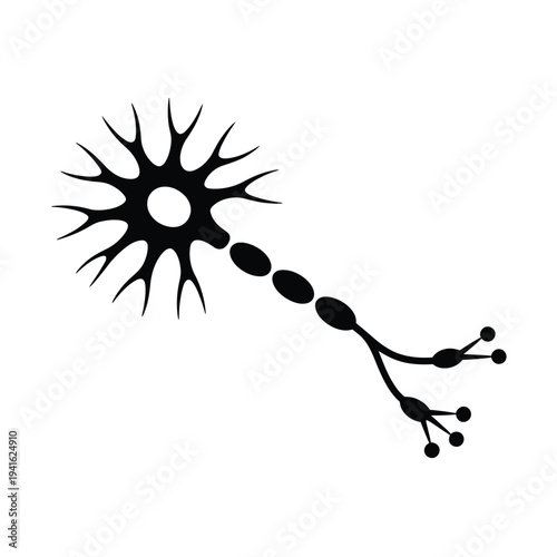 A simplified black silhouette of a neuron with dendrites and a long axon