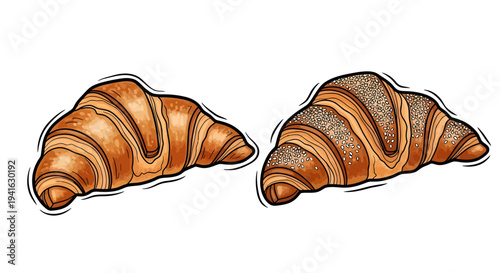 Two delicious golden brown croissants side by side.