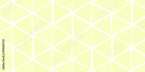 abstract black white stripe line. geometric triangle texture background. hexagon pattern. retro styled concept.