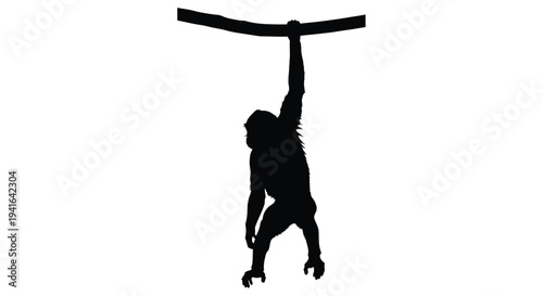 Monkey hanging from a bar stark black form against white background silhouette