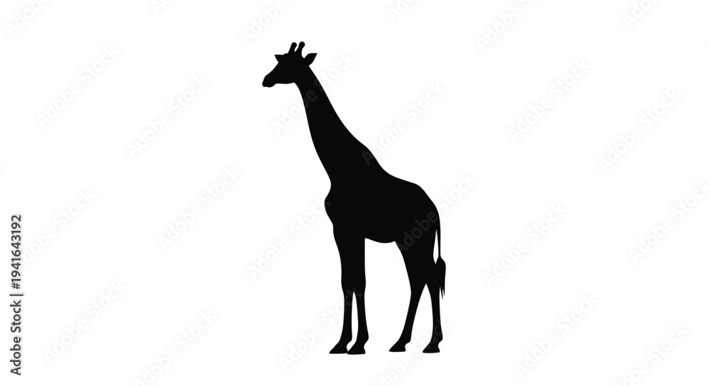 Fototapeta premium A striking black giraffe stands tall against a white backdrop silhouette