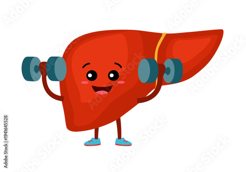 Cute funny healthy liver with dumbbells cartoon character illustration on white background.