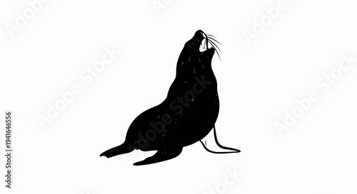 Black seal sits with head tilted back, mouth open, whiskers spread