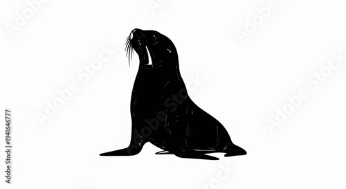 Black seal with prominent white tusks and whiskers on a white background