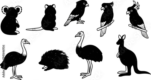Black and white drawings of Australian animals and birds on white background
