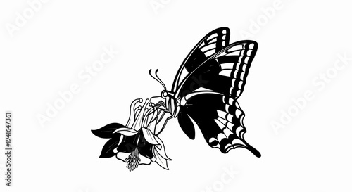 Black and white illustration of a butterfly feeding on a flower