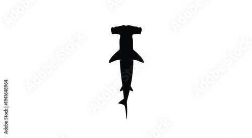 Hammerhead shark viewed from above a striking black shape silhouette