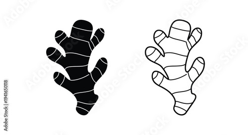 Two ginger root illustrations one solid and one outlined silhouette