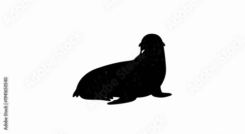 Black silhouette of a sea lion resting on a white background