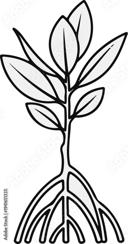 A stylized illustration of a plant with roots and leaves, in black and white