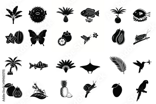 Tropical plants, fruits, and animals black silhouette icons collection.