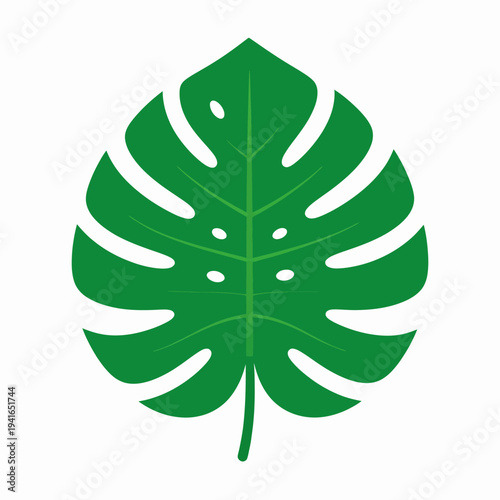 Top-down close-up illustration of a vibrant green Monstera deliciosa leaf with distinctive lobed shape and long stem, displayed against a pristine white backdrop, emphasizing natural elegance
