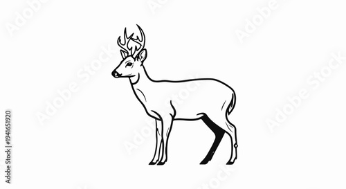 Black and white line art of a standing deer with antlers