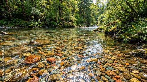 Sunlight glinting off submerged vibrant river stones in a lush green forest stream.