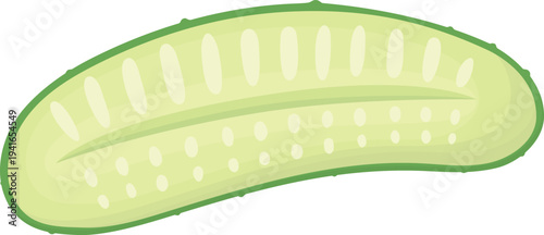 Illustration of half green cucumber. Fresh healthy vegetable isolated on white background
