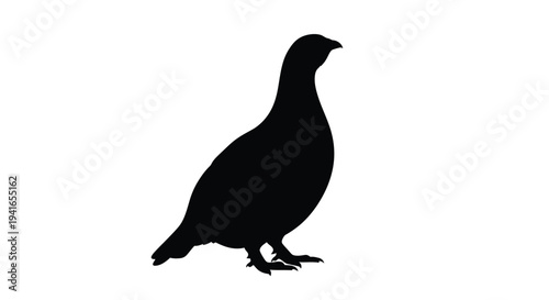 A striking black silhouette of a pheasant in profile silhouette