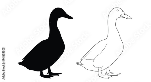 A contrasting duck depiction outline and solid black silhouette