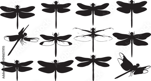 Collection of dragonfly silhouettes in various flying positions shown