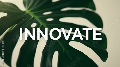 Innovate with Monstera Leaf Closeup.