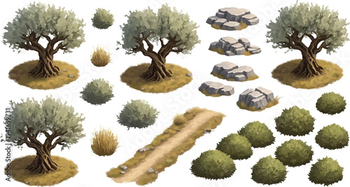 Set of Olive Trees, Bushes, Rocks, and Dirt Path Vector Elements isolated PNG with Transparent Background