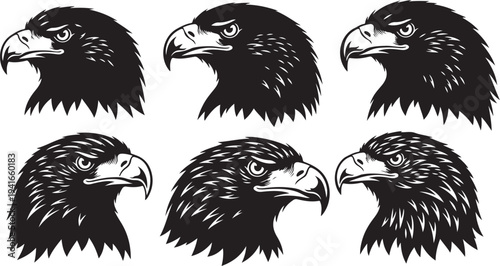 Six Black and White Eagle Heads in a Row