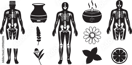 Set of 10 Black and White Wellness and Anatomy Vector Icons for Spa, Aromatherapy, and Health-Related Designs isolated PNG with Transparent Background