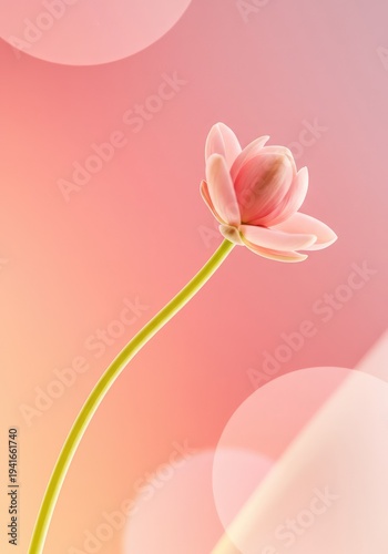 Abstract pastel background with soft light flares and organic flowing shapes, representing natural bloom and gentle growth ,flourish ,design ,delicate