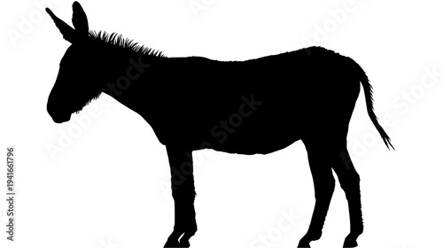 A silhouette of a donkey standing still