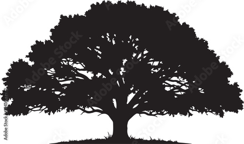Silhouette of a large tree on a white background