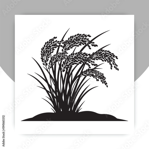 Rice Plant Silhouette Vector, Paddy Crop Agriculture Illustration,