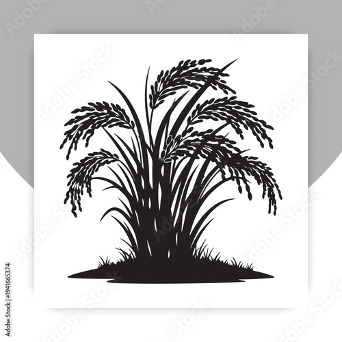 Rice Plant Silhouette Vector, Paddy Crop Agriculture Illustration,