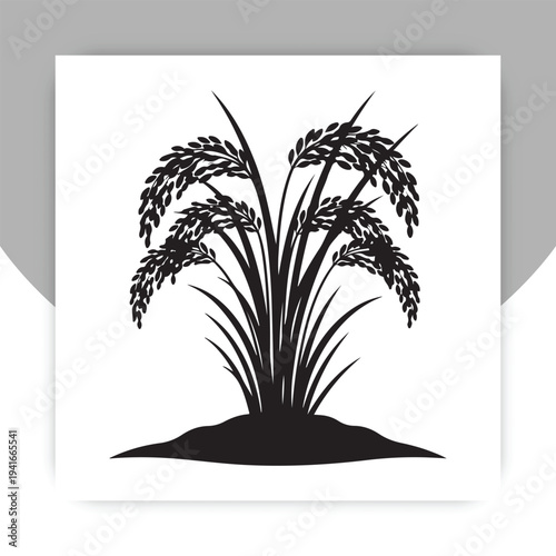 Rice Plant Silhouette Vector, Paddy Crop Agriculture Illustration,