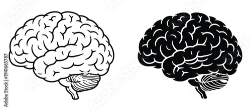 Human Anatomy Icons Vector with Liver, Brain, Heart, Lungs, and Intestine