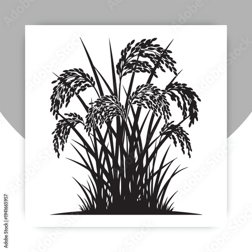 Rice Plant Silhouette Vector, Paddy Crop Agriculture Illustration,