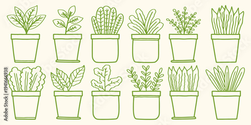 Set of potted houseplants line art vector illustration in green. Hand drawn houseplant doodle set in minimal line art style for home decor, nursery poster, sticker and printable design
