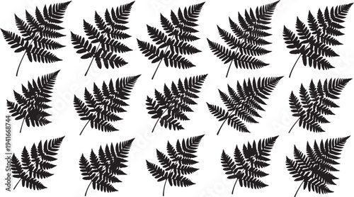 Collection of black fern leaves on white background illustration