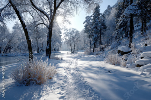 Winter landscape featuring snowy trees and a frozen river during bright daylight