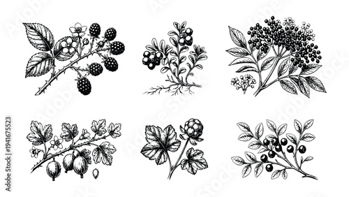 Adobe Illustrator Artwork