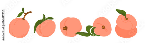 Fresh peach set. Whole organic fruits. Healthy food vector illustration isolated on white background.