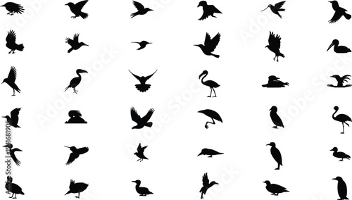 Large bird silhouette collection with flying perching swimming and standing birds wildlife waterfowl seabirds isolated on white background vector illustration set
