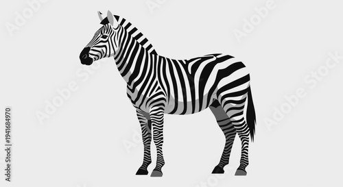 Stylized flat graphic illustration of standing zebra animal