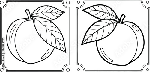 Black and white illustrations of two mangoes with leaves