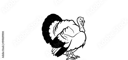 Line drawing of a turkey with its tail feathers fanned out
