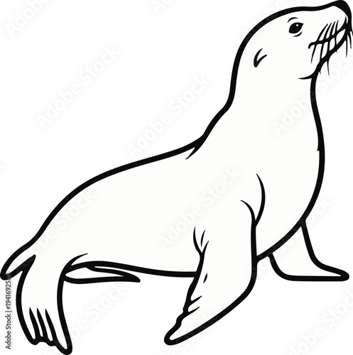 Outline drawing of a sea lion on a white background